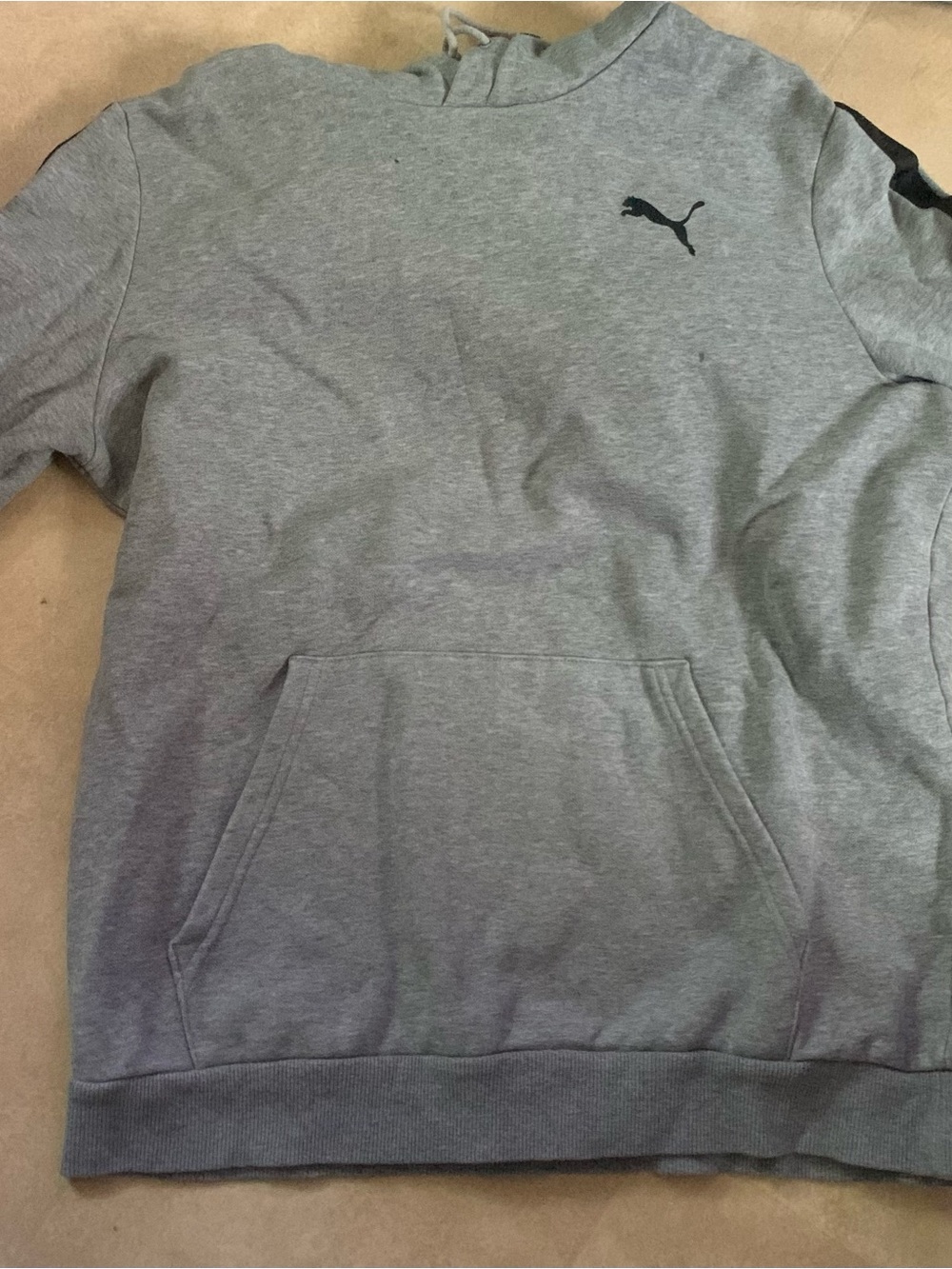 Puma Gray Hoodie with Black Puma Logo